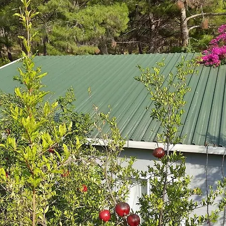 Gelidonia Fenerium Vakantiehuis Kumluca